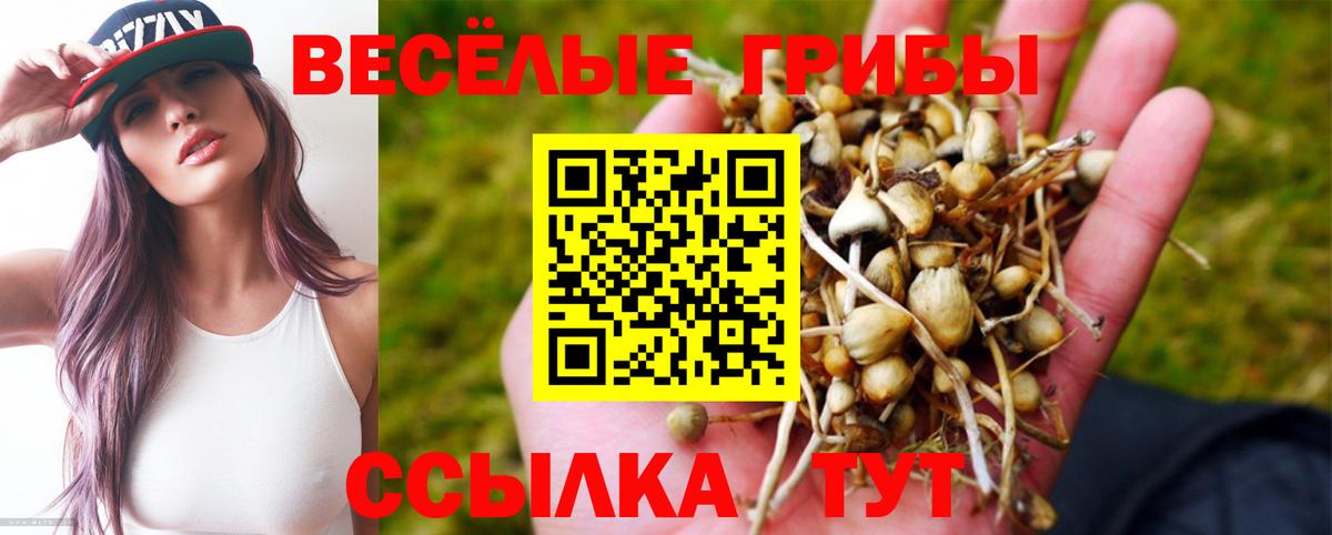 Галлюциногенные грибы Magic Shrooms Урюпинск
